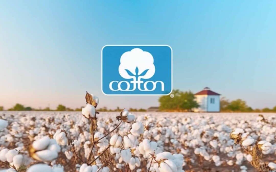 Cotton and Crop